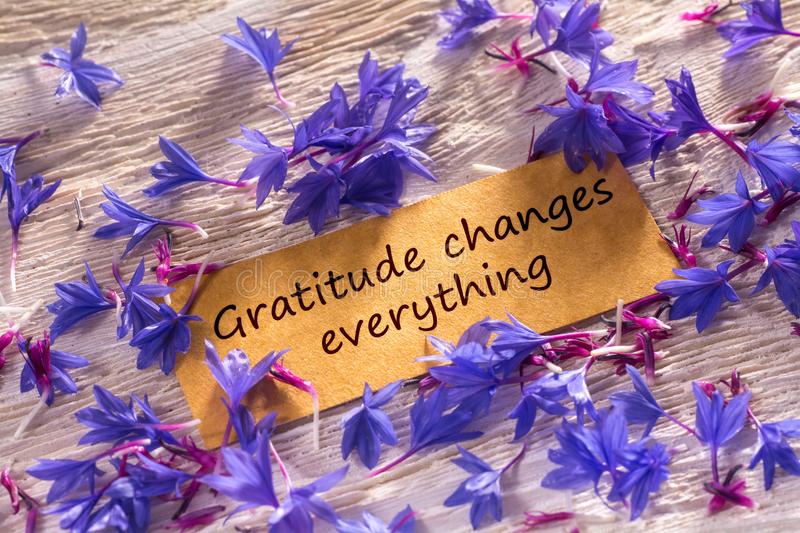 Gratitude Changes everything by YCC